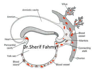 Dr.Sherif Fahmy
 