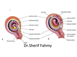Dr.Sherif Fahmy
 