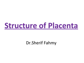 Structure of Placenta
Dr.Sherif Fahmy
 