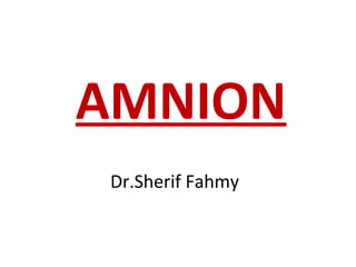 AMNION
Dr.Sherif Fahmy
 