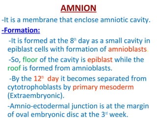 AMNION
-It is a membrane that enclose amniotic cavity.
-Formation:
-It is formed at the 8th
day as a small cavity in
epiblast cells with formation of amnioblasts.
-So, floor of the cavity is epiblast while the
roof is formed from amnioblasts.
-By the 12th
day it becomes separated from
cytotrophoblasts by primary mesoderm
(Extraembryonic).
-Amnio-ectodermal junction is at the margin
of oval embryonic disc at the 3rd
week.
 