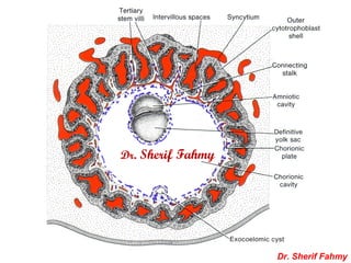 Dr. Sherif Fahmy
Dr. Sherif Fahmy
 