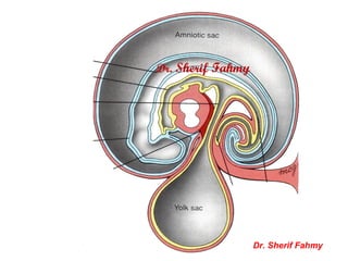 Dr. Sherif Fahmy
Dr. Sherif Fahmy
 