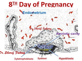 8TH
Day of Pregnancy
Endometrium
Cytotrophoblasts Hypoblasts
Amniotic cavity
Epiblast
Dr.Sherif Fahmy
Dr. Sherif Fahmy
 