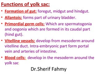 Functions of yolk sac:
• Formation of gut: foregut, midgut and hindgut.
• Allantois: forms part of urinary bladder.
• Primordial germ cells: Which are spermatogonia
and oogonia which are formed in its caudal part
(hind gut).
• Vitelline vessels: develop from mesoderm around
vitelline duct. Intra-embryonic part form portal
vein and arteries of intestine.
• Blood cells: develop in the mesoderm around the
yolk sac.
Dr.Sherif Fahmy
 