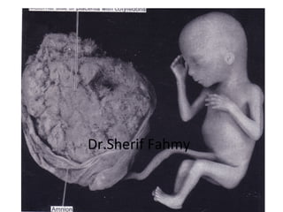 Dr.Sherif Fahmy
 