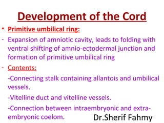 Development of the Cord
• Primitive umbilical ring:
- Expansion of amniotic cavity, leads to folding with
ventral shifting of amnio-ectodermal junction and
formation of primitive umbilical ring
- Contents:
-Connecting stalk containing allantois and umbilical
vessels.
-Vitelline duct and vitelline vessels.
-Connection between intraembryonic and extra-
embryonic coelom. Dr.Sherif Fahmy
 