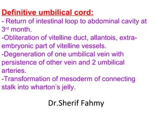 Definitive umbilical cord:
- Return of intestinal loop to abdominal cavity at
3rd
month.
-Obliteration of vitelline duct, allantois, extra-
embryonic part of vitelline vessels.
-Degeneration of one umbilical vein with
persistence of other vein and 2 umbilical
arteries.
-Transformation of mesoderm of connecting
stalk into wharton’s jelly.
Dr.Sherif Fahmy
 