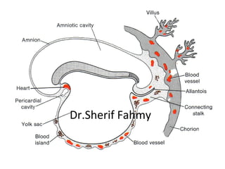 Dr.Sherif Fahmy
 