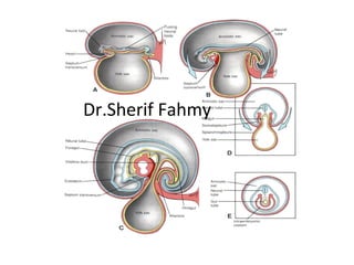 Dr.Sherif Fahmy
 
