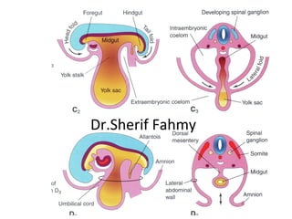 Dr.Sherif Fahmy
 