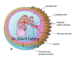Dr.Sherif Fahmy
 