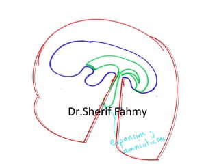 Dr.Sherif Fahmy
 