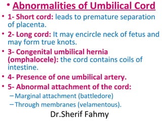 • Abnormalities of Umbilical Cord
• 1- Short cord: leads to premature separation
of placenta.
• 2- Long cord: It may encircle neck of fetus and
may form true knots.
• 3- Congenital umbilical hernia
(omphalocele): the cord contains coils of
intestine.
• 4- Presence of one umbilical artery.
• 5- Abnormal attachment of the cord:
–Marginal attachment (battledore)
–Through membranes (velamentous).
Dr.Sherif Fahmy
 