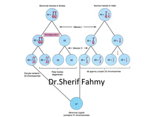 Dr.Sherif Fahmy
 