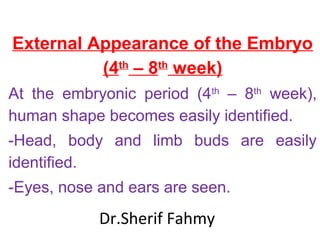 External Appearance of the Embryo
(4th
– 8th
week)
At the embryonic period (4th
– 8th
week),
human shape becomes easily identified.
-Head, body and limb buds are easily
identified.
-Eyes, nose and ears are seen.
Dr.Sherif Fahmy
 
