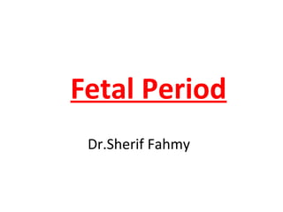 Fetal Period
Dr.Sherif Fahmy
 