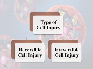 final reversible vs irreversible cell injury | PPTX