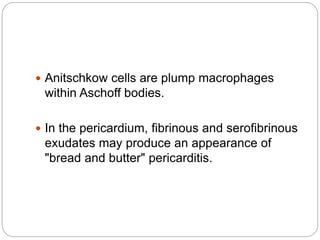  Anitschkow cells are plump macrophages
within Aschoff bodies.
 In the pericardium, fibrinous and serofibrinous
exudates may produce an appearance of
"bread and butter" pericarditis.
 