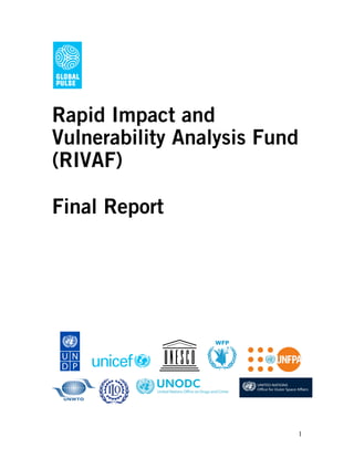 Rapid Impact and
Vulnerability Analysis Fund
(RIVAF)

Final Report




                          1
 