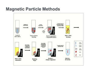 RNA isolation methods