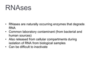 RNA isolation methods