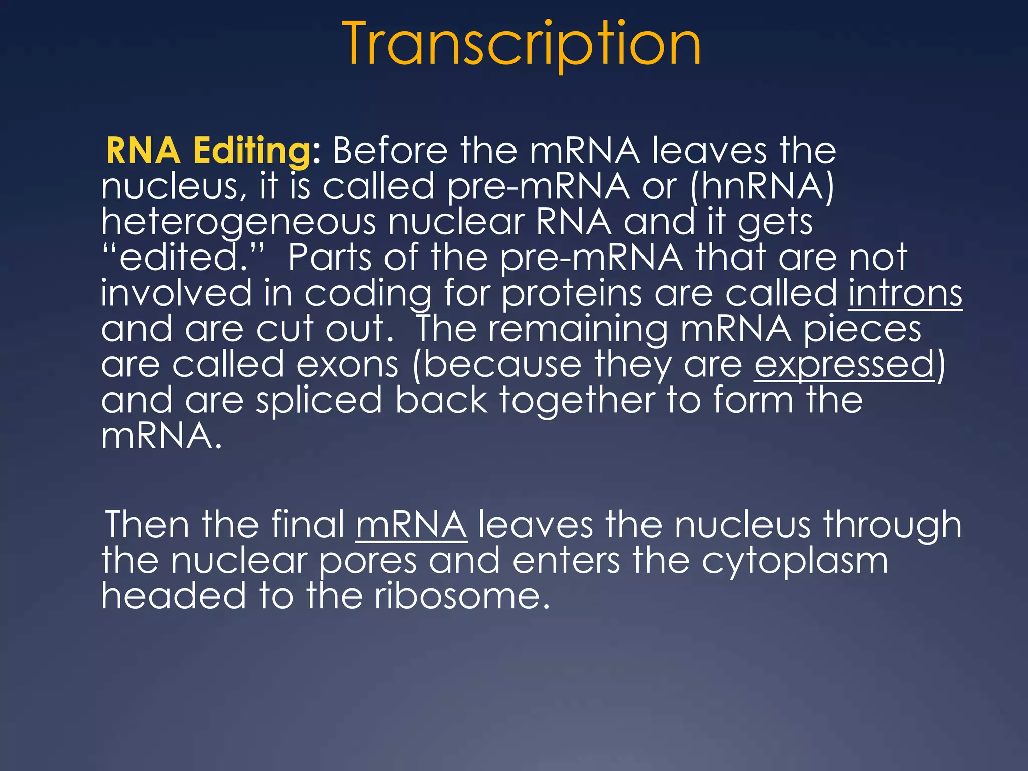 Transcription
RNA Editing: Before the mRNA leaves the
nucleus, it is called pre-mRNA or (hnRNA)
heterogeneous nuclear RNA and it gets
“edited.” Parts of the pre-mRNA that are not
involved in coding for proteins are called introns
and are cut out. The remaining mRNA pieces
are called exons (because they are expressed)
and are spliced back together to form the
mRNA.
Then the final mRNA leaves the nucleus through
the nuclear pores and enters the cytoplasm
headed to the ribosome.
 