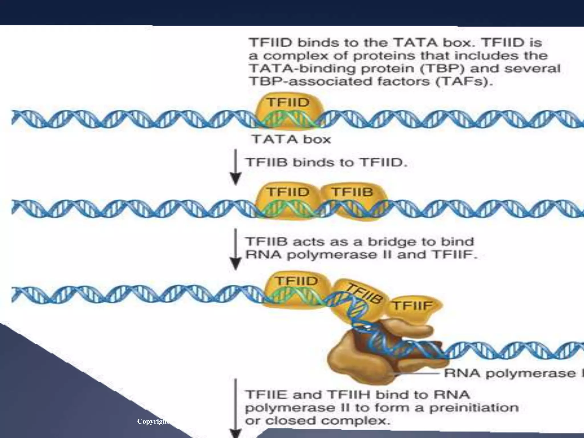 Copyright ©The McGraw-Hill Companies, Inc. Permission required for reproduction or display
 