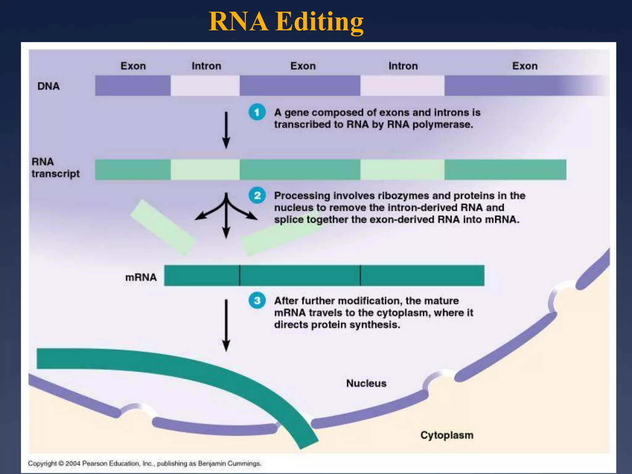 RNA Editing
 