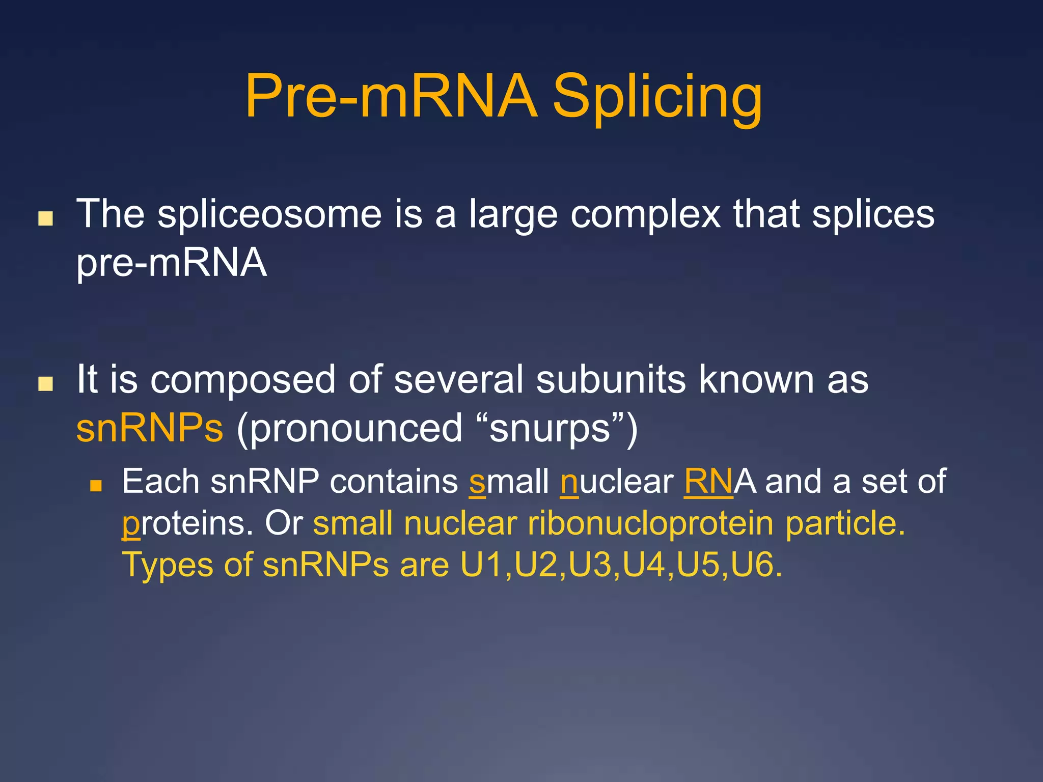  The spliceosome is a large complex that splices
pre-mRNA
 It is composed of several subunits known as
snRNPs (pronounced “snurps”)
 Each snRNP contains small nuclear RNA and a set of
proteins. Or small nuclear ribonucloprotein particle.
Types of snRNPs are U1,U2,U3,U4,U5,U6.
Pre-mRNA Splicing
 