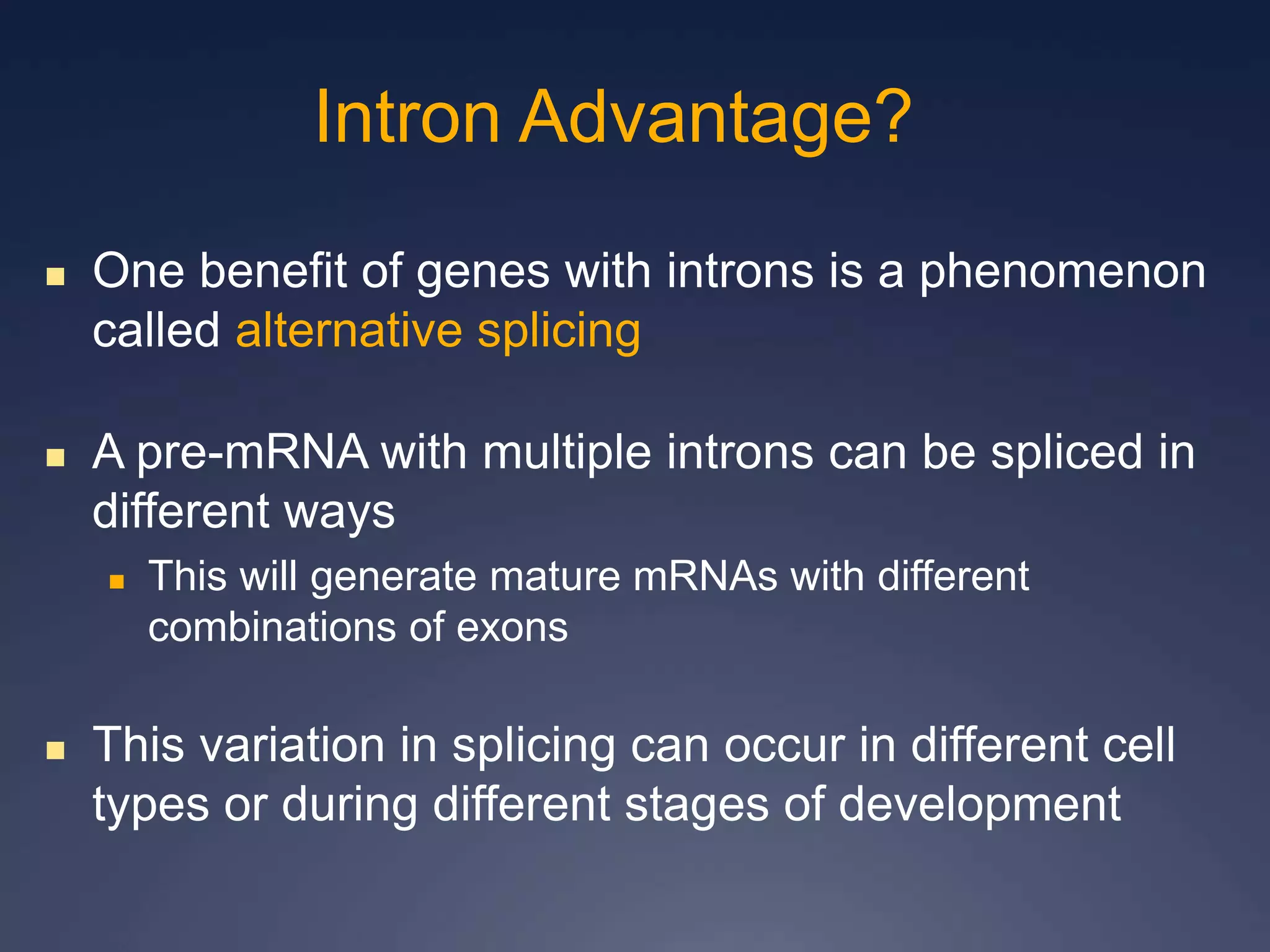  One benefit of genes with introns is a phenomenon
called alternative splicing
 A pre-mRNA with multiple introns can be spliced in
different ways
 This will generate mature mRNAs with different
combinations of exons
 This variation in splicing can occur in different cell
types or during different stages of development
Intron Advantage?
 