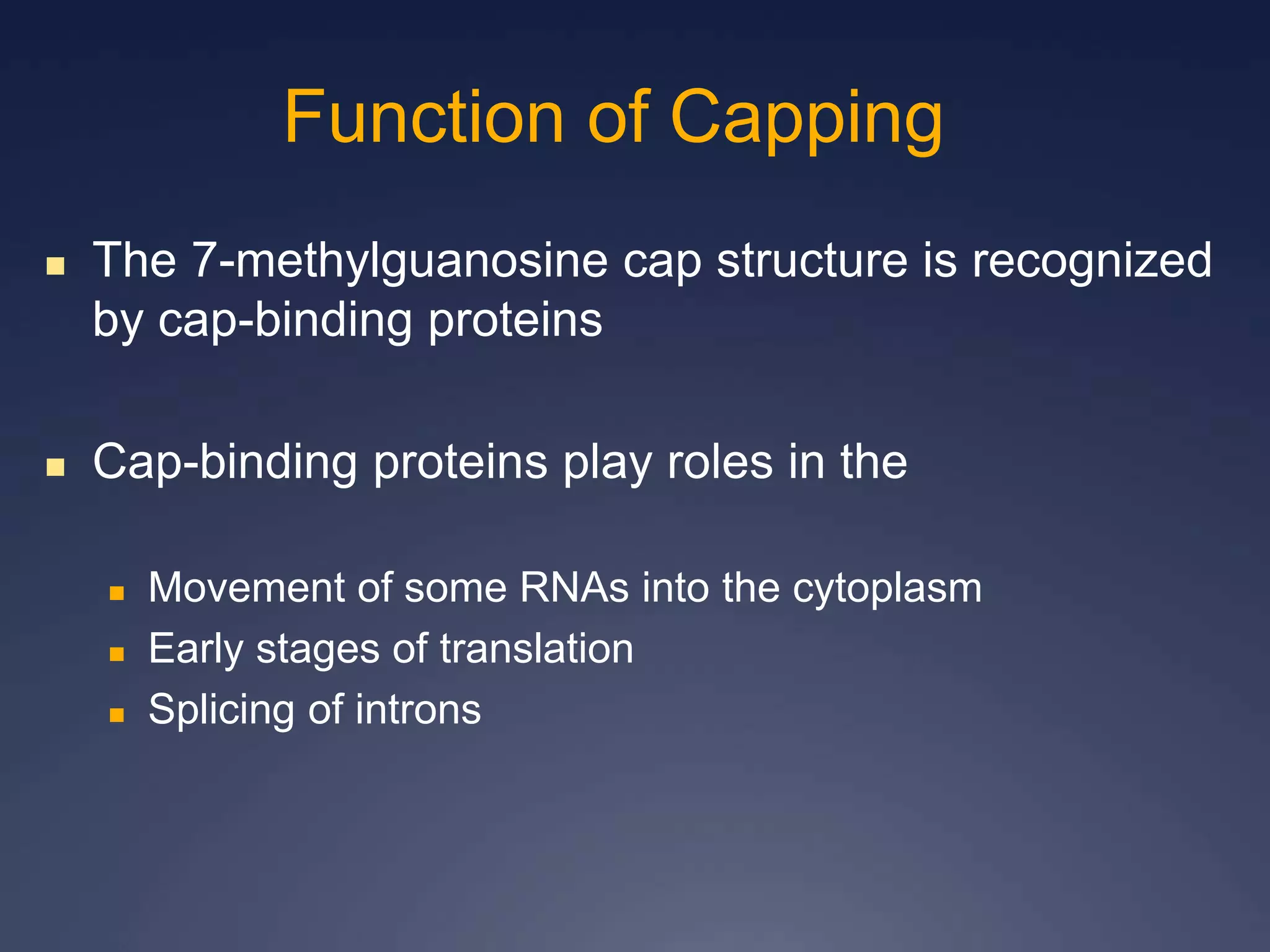  The 7-methylguanosine cap structure is recognized
by cap-binding proteins
 Cap-binding proteins play roles in the
 Movement of some RNAs into the cytoplasm
 Early stages of translation
 Splicing of introns
Function of Capping
 