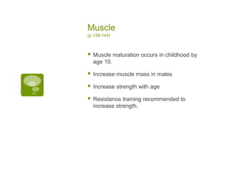 Muscle
(p.136-144)
 Muscle maturation occurs in childhood by
age 10.
 Increase muscle mass in males
 Increase strength ...