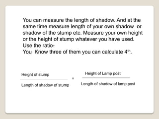 You can measure the length of shadow. And at the
same time measure length of your own shadow or
shadow of the stump etc. Measure your own height
or the height of stump whatever you have used.
Use the ratio-
You Know three of them you can calculate 4th.
Height of stump
Length of shadow of stump
=
Height of Lamp post
Length of shadow of lamp post
 