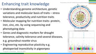 Presentation at the 95th Governing Board meeting (Program Committee) By Research Program: Genetic Gains (RP-GG)