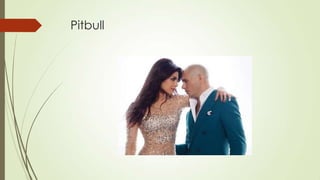 Pitbull

 