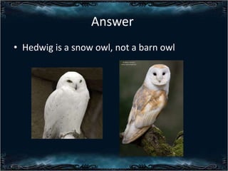 Answer
? Hedwig is a snow owl, not a barn owl

 