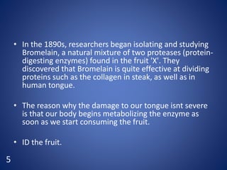 • In the 1890s, researchers began isolating and studying
Bromelain, a natural mixture of two proteases (protein-
digesting enzymes) found in the fruit 'X'. They
discovered that Bromelain is quite effective at dividing
proteins such as the collagen in steak, as well as in
human tongue.
• The reason why the damage to our tongue isnt severe
is that our body begins metabolizing the enzyme as
soon as we start consuming the fruit.
• ID the fruit.
5
 