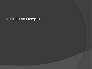  Paul The Octopus
 