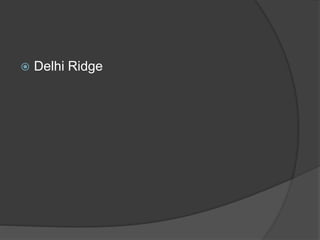  Delhi Ridge
 