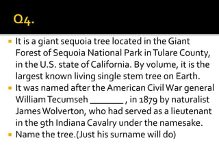 It is a giant sequoia tree located in the Giant
Forest of Sequoia National Park inTulare County,
in the U.S. state of California. By volume, it is the
largest known living single stem tree on Earth.
 It was named after theAmericanCivilWar general
WilliamTecumseh _______ , in 1879 by naturalist
JamesWolverton, who had served as a lieutenant
in the 9th IndianaCavalry under the namesake.
 Name the tree.(Just his surname will do)
 