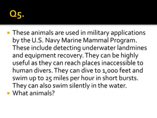  These animals are used in military applications
by the U.S. Navy Marine Mammal Program.
These include detecting underwater landmines
and equipment recovery.They can be highly
useful as they can reach places inaccessible to
human divers.They can dive to 1,000 feet and
swim up to 25 miles per hour in short bursts.
They can also swim silently in the water.
 What animals?
 