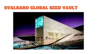 SVALBARD GLOBAL SEED VAULT
 