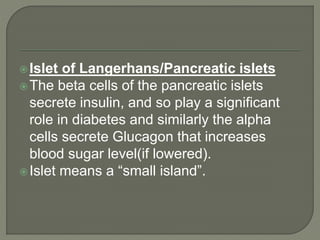 Islet of Langerhans/Pancreatic islets
The beta cells of the pancreatic islets
secrete insulin, and so play a significant
role in diabetes and similarly the alpha
cells secrete Glucagon that increases
blood sugar level(if lowered).
Islet means a “small island”.
 