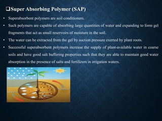 FINAL SAP PPT.pptx