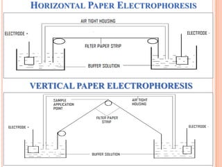 HORIZONTAL PAPER ELECTROPHORESIS

VERTICAL PAPER ELECTROPHORESIS

8

 