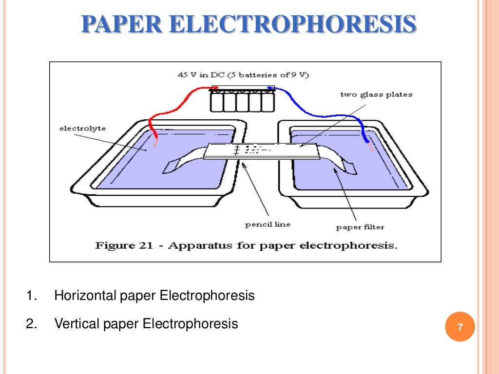 Techniques of electrophoresis