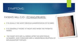 SYMPTOMS:
PATIENTS WILL C/O : ITCHING/PRURITIS:
 IT IS USUALLY THE MOST OBVIOUS MANIFESTATION OF SCABIES.
 IT IS GENERALLY WORST AT NIGHT AND WHEN THE PATIENT IS
WARM.
 THE ONSET OCCURS 3–4 WEEKS AFTER THE INFECTION IS
ACQUIRED, AND COINCIDES WITH A WIDESPREAD ERUPTION OF
INFLAMMATORY PAPULES.
 
