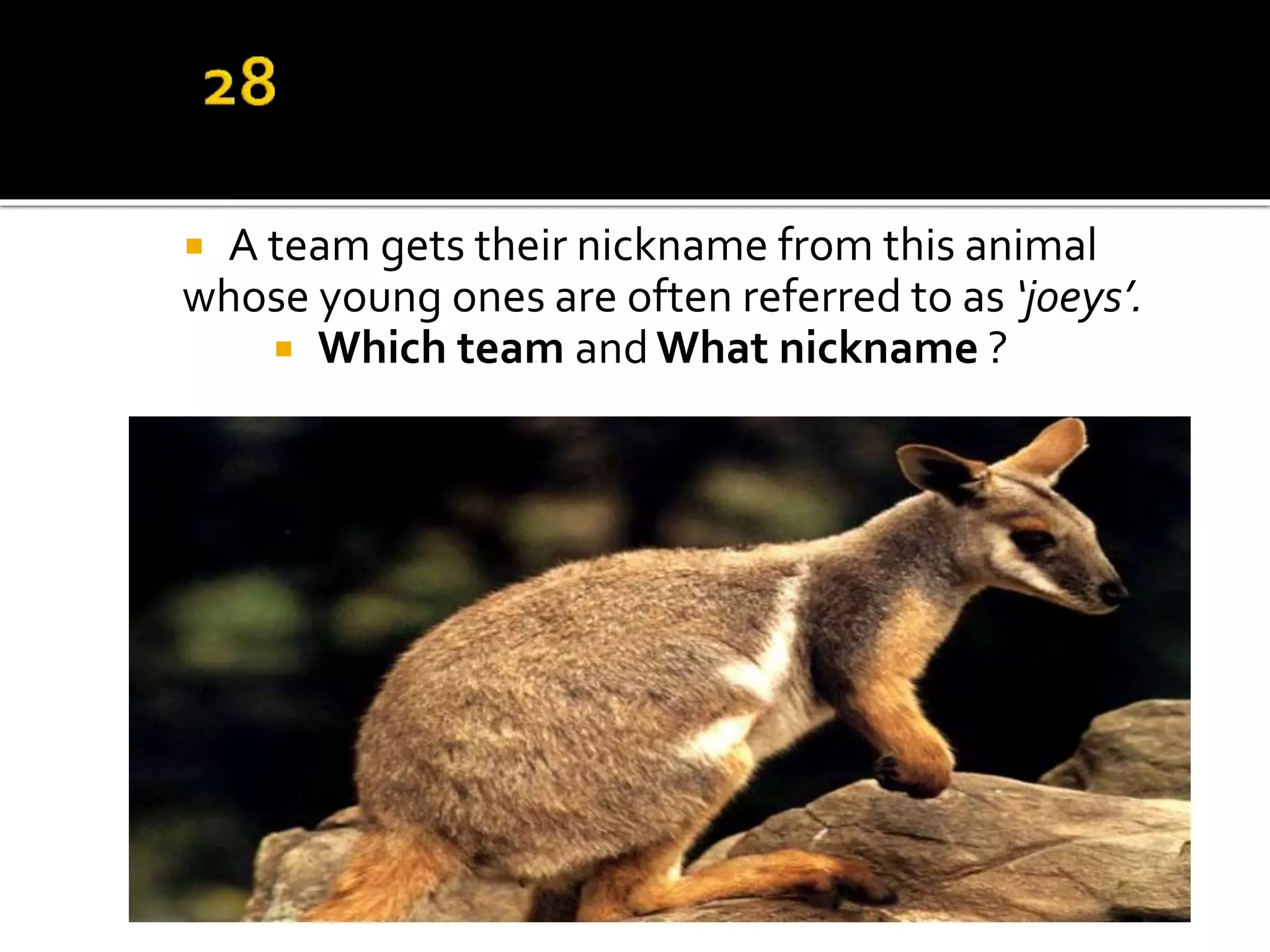  A team gets their nickname from this animal
whose young ones are often referred to as ‘joeys’.
 Which team and What nickname ?
 