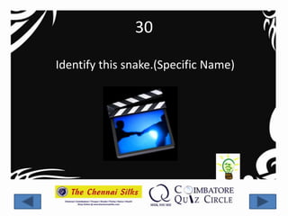 30

Identify this snake.(Specific Name)
 